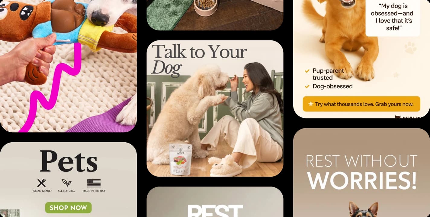 Chewy recent Meta ad creatives