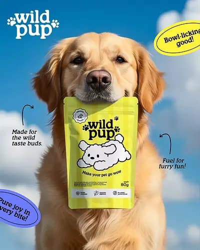 Pet Supplies