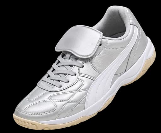 A silver leather sneaker — the product Promer is reading