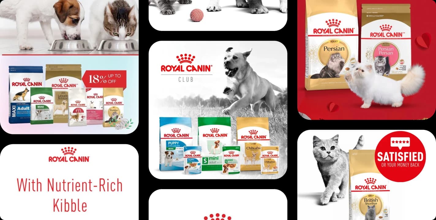Royal Canin recent Meta ad creatives