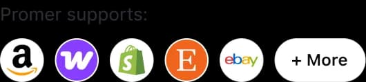 Promer supports: Amazon, Wix, Shopify, Etsy, eBay, and more