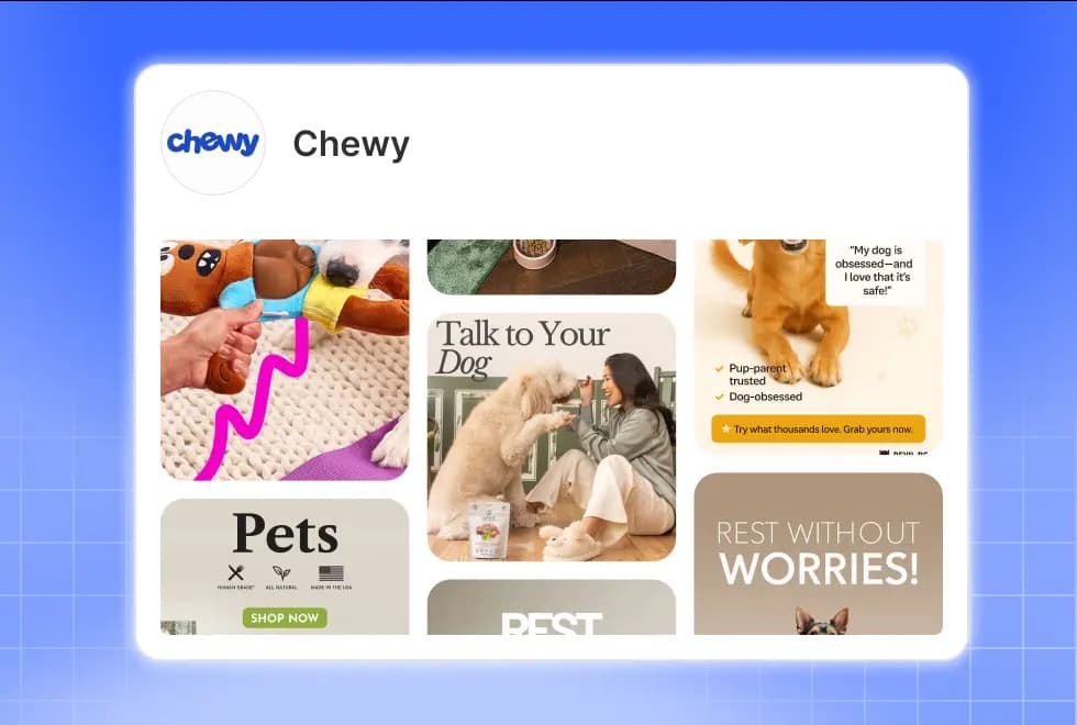 Brand card showing Chewy and competitor ad grid
